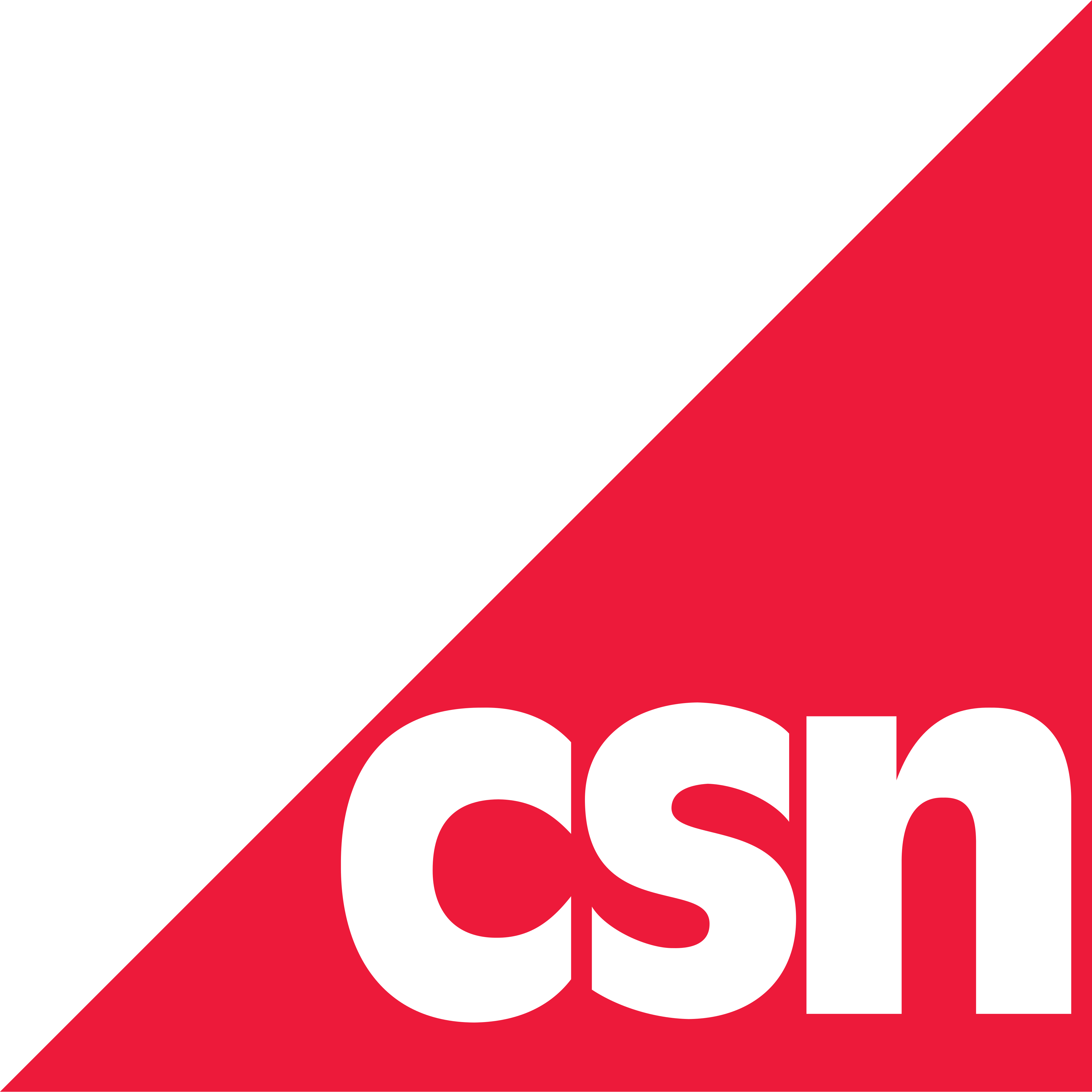 CSN Logo